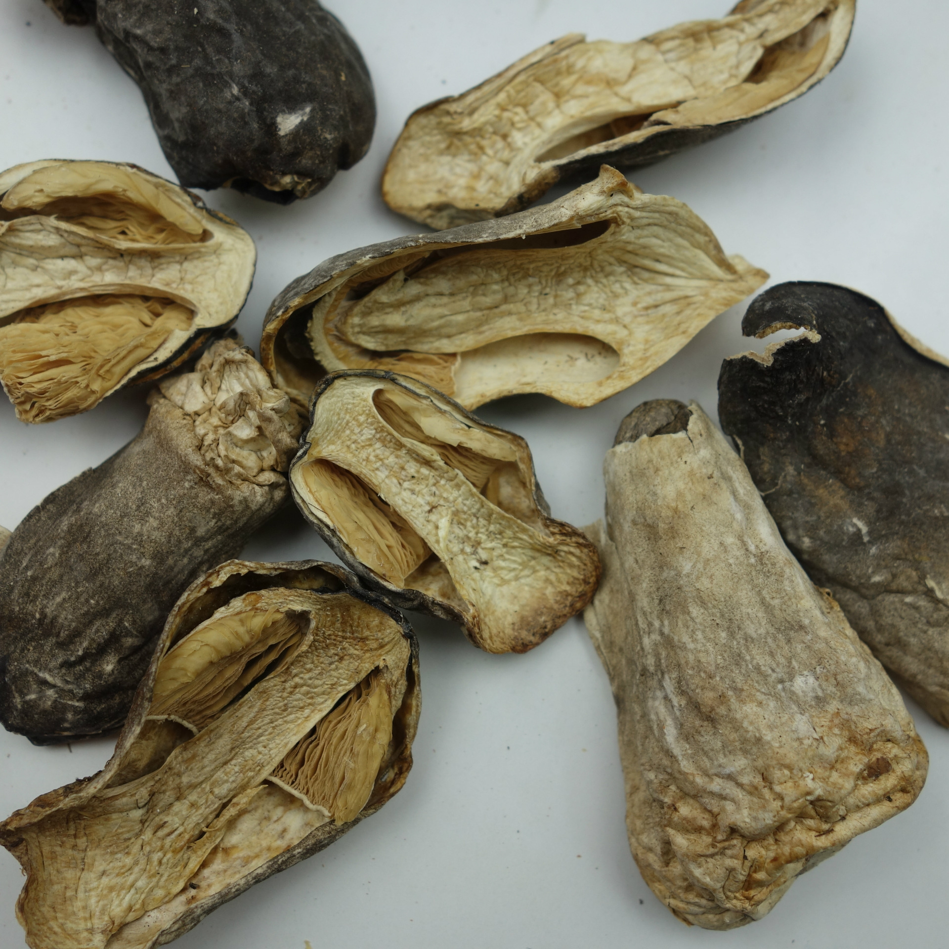 古田苞脚草菇食用菌农家自产500g