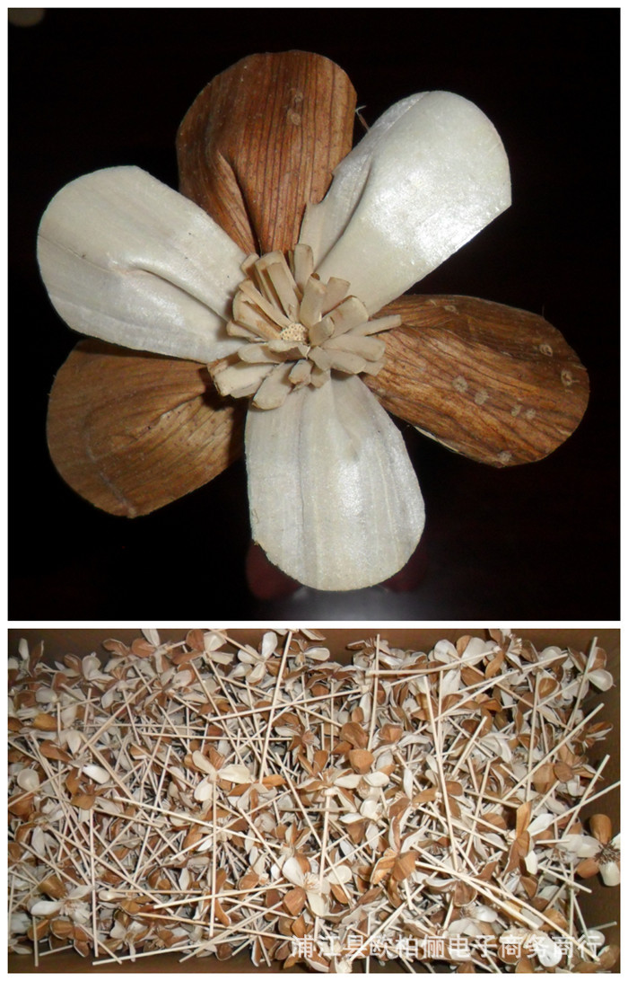 无火香薰diy干花,通草花     干花的加工过程:收集原材料-剥皮