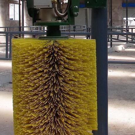 供应多种规格环形异形毛刷辊 潜山新宇刷业制品厂欢迎咨询洽谈