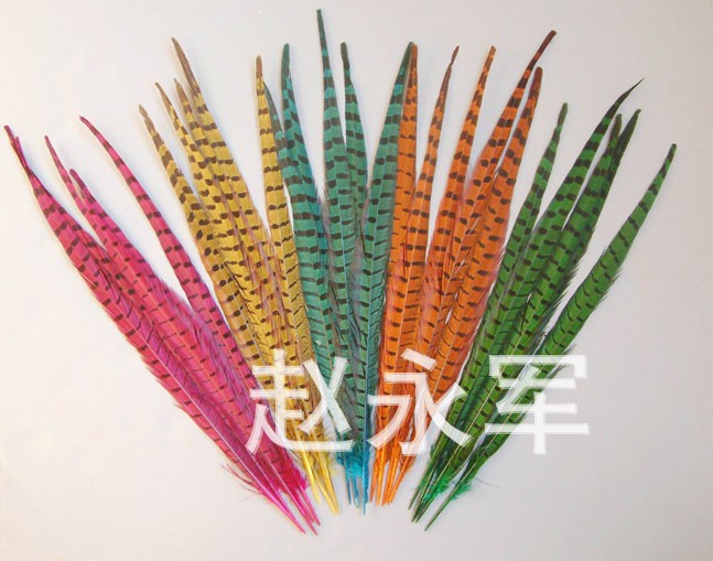 QQ图片20140502111902