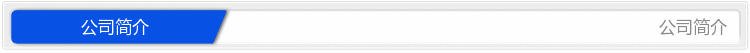 公司简介