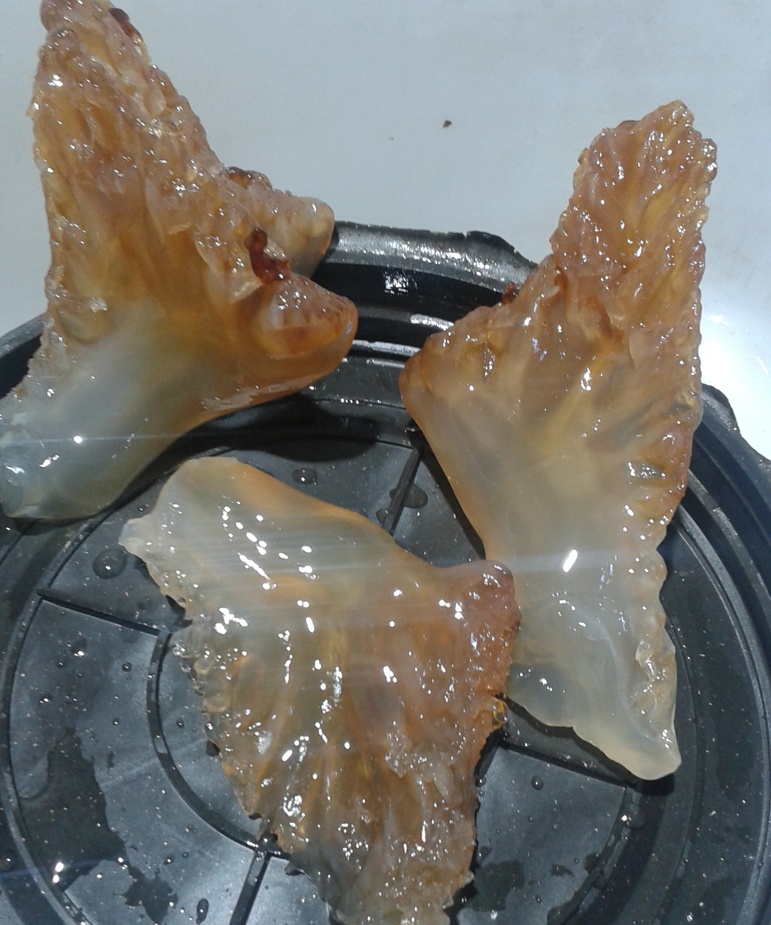 【海珍坊】渤海海蜇头 棉海蜇头 红海蜇头 野生海蜇头 高档海蜇角