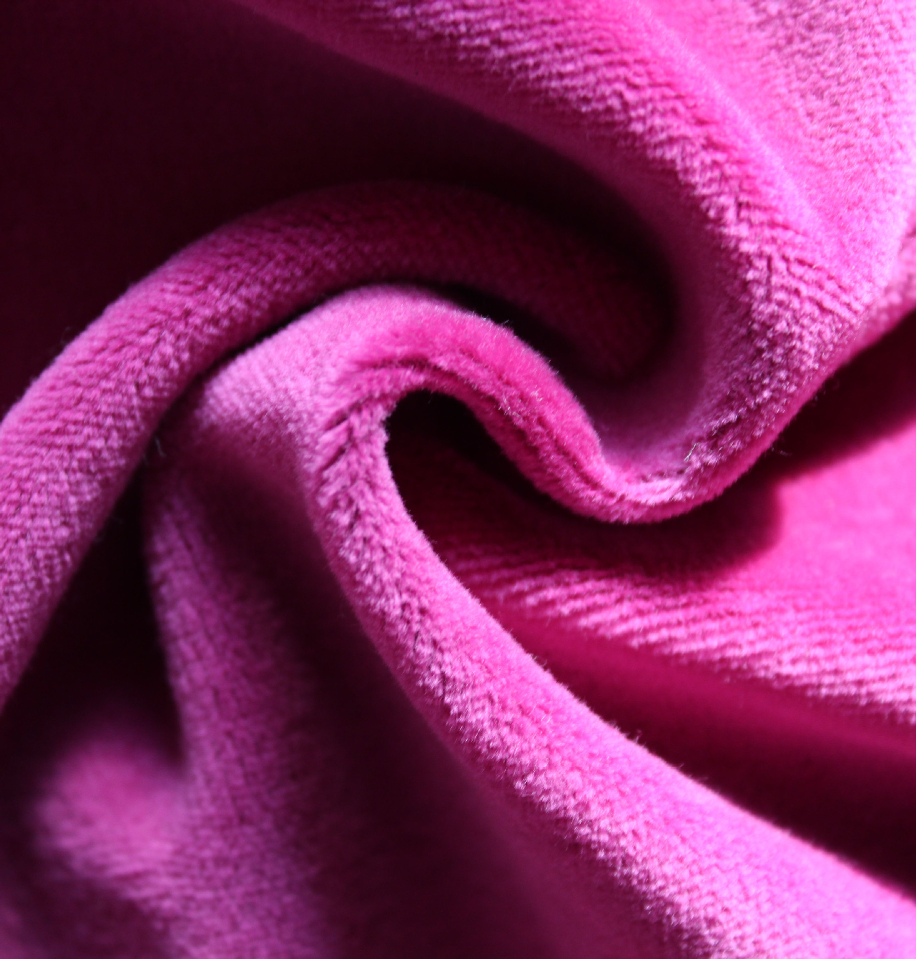 厂家直销 纬编工艺针织面料 cvc天鹅绒休闲女装服装布