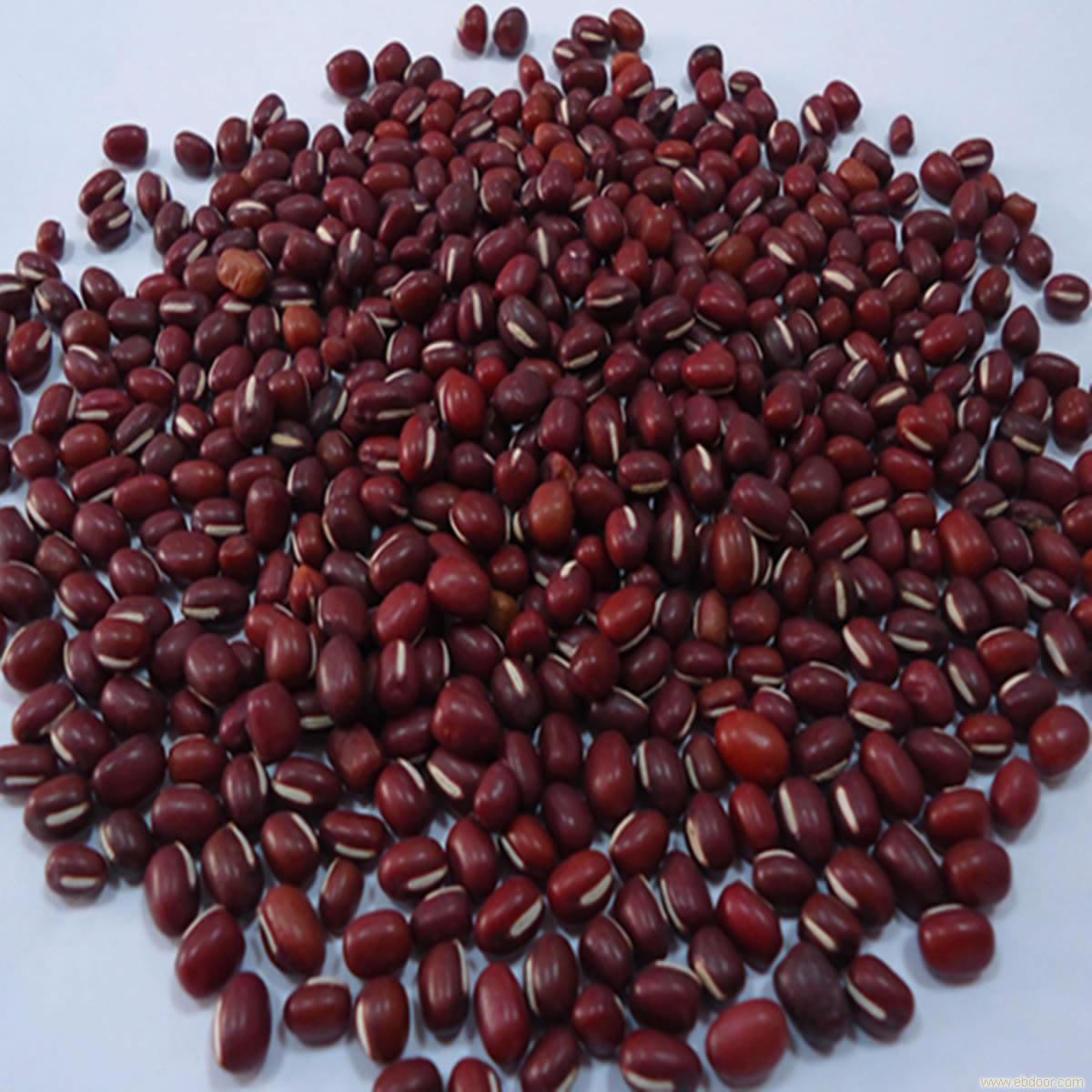 产品展示:赤小豆(学名:vigna umbellata),又名赤豆,红饭豆,饭豆,蛋白