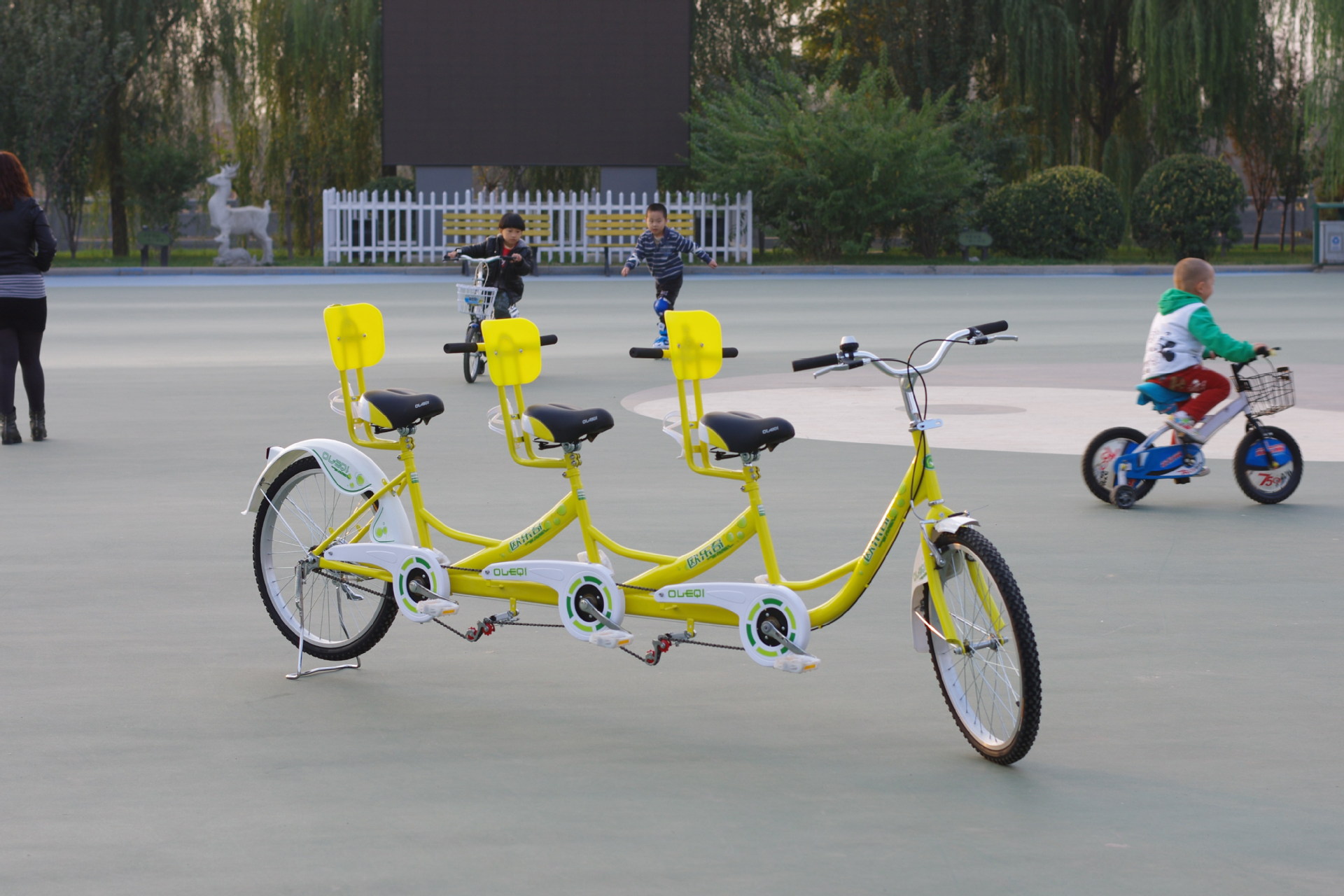 24寸双三人自行车 三人骑团队车 旅游观