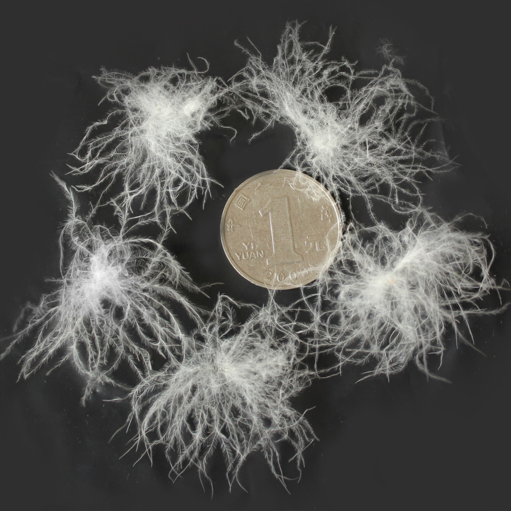 厂家直销精洗 水洗 羽绒 初洗 原料绒 初洗 东北白 鹅绒绒子83