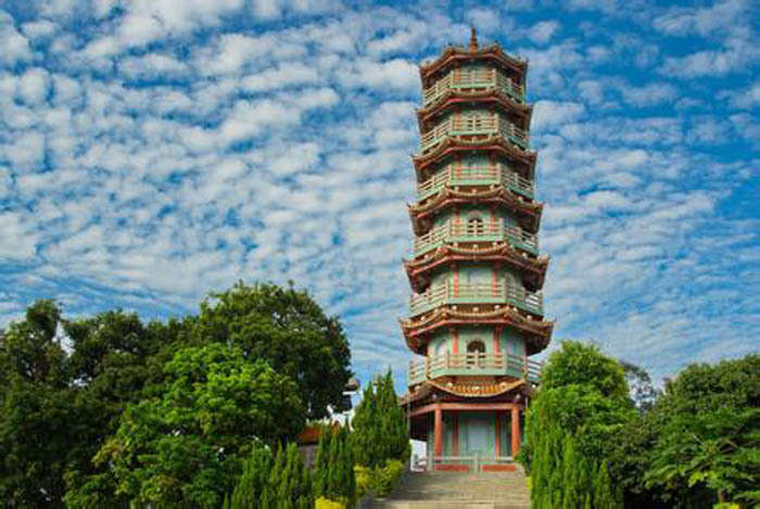 【增城】增城挂绿天价,科东磁铁实价,那你选择哪个呢?