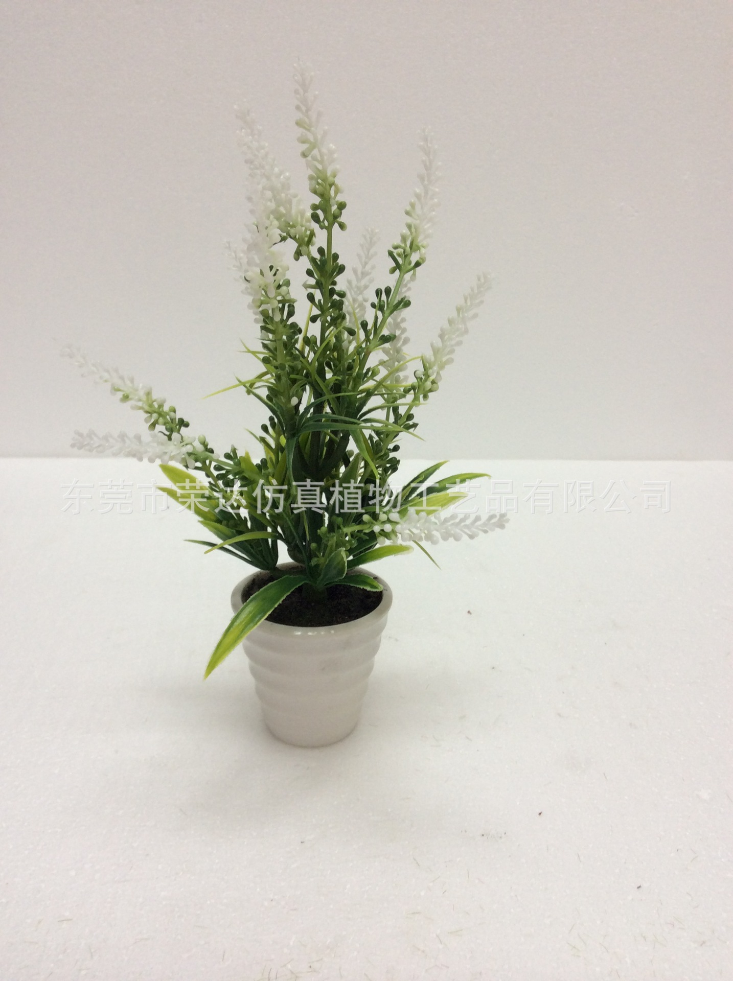 百花草