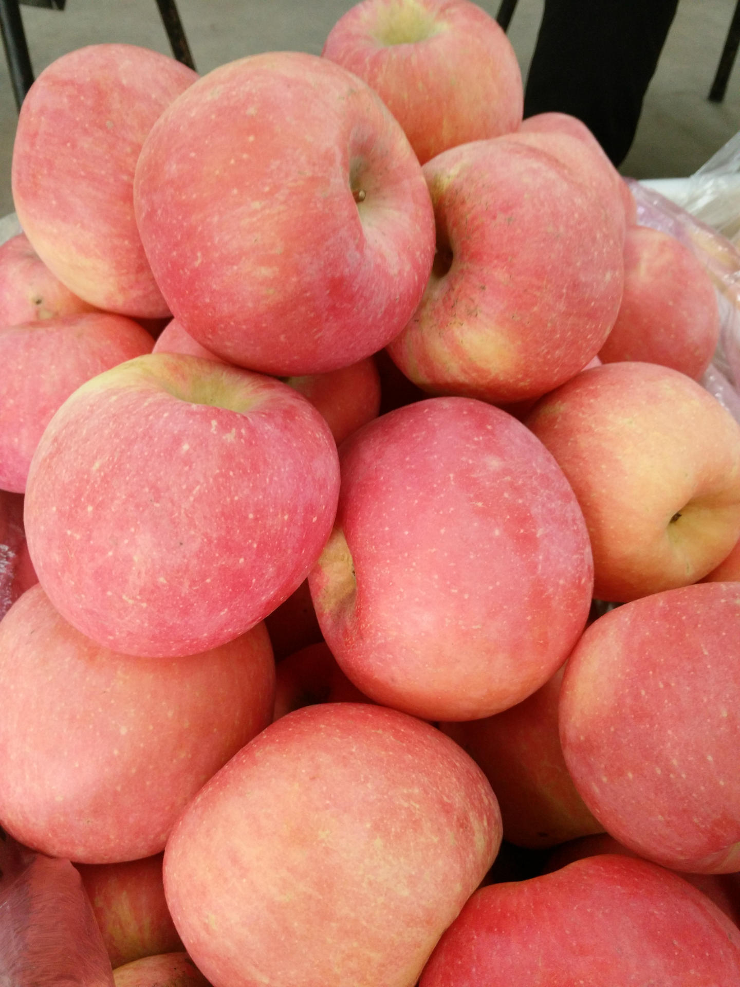 胶东水晶富士大量上市 苹果个大透亮 表光甚好 口感上等