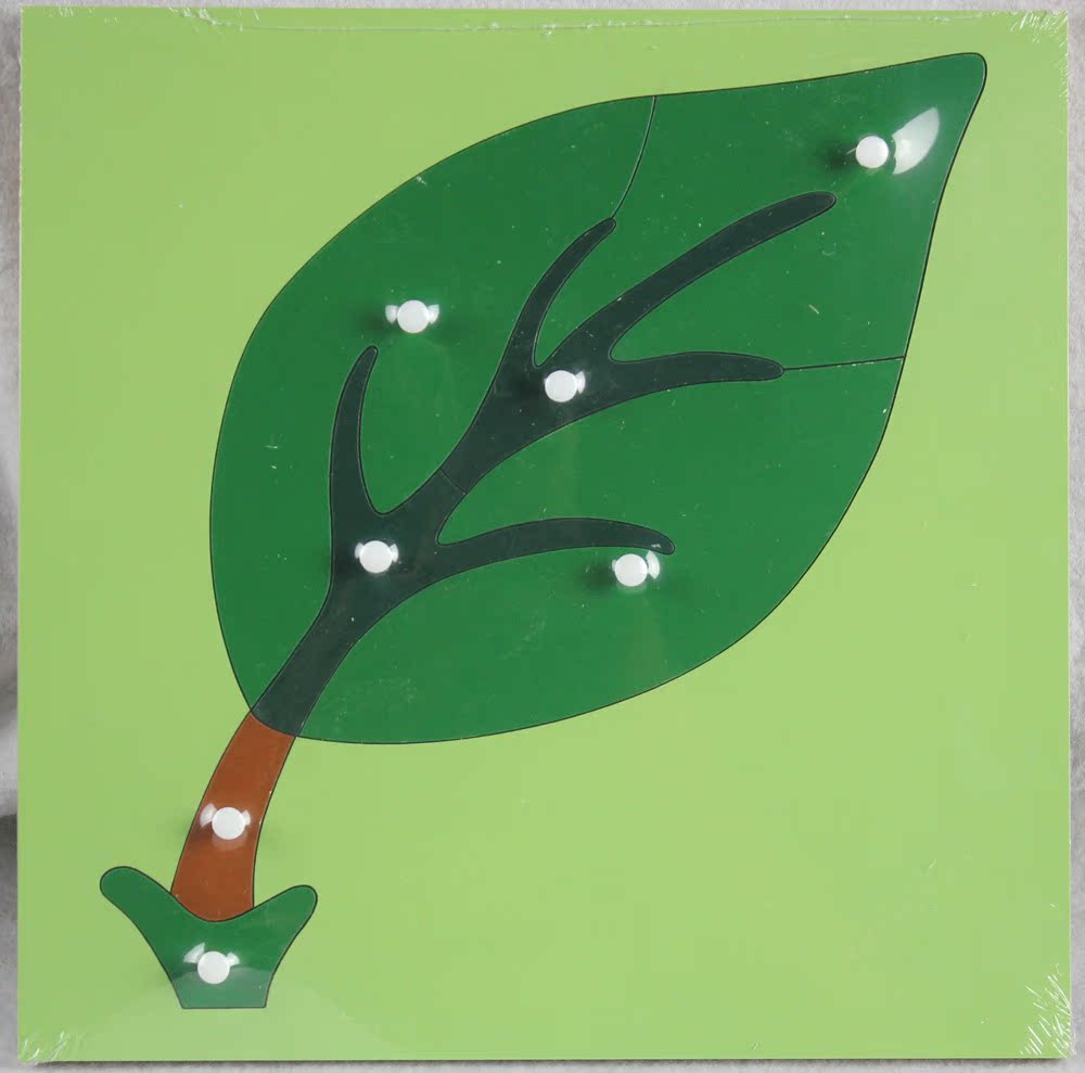 蒙氏教具鸟蚂蚁树花树叶马鱼乌龟蚂蚁嵌板全套