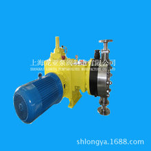 供应上海龙亚2DS-1F计量补液泵,微型计量泵	