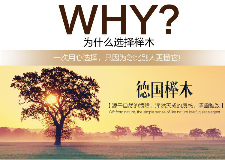 厂家直销木床德国榉木高箱储物床实木床1.8 米纯实木双人床特价