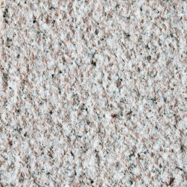 新虾红荔枝面750