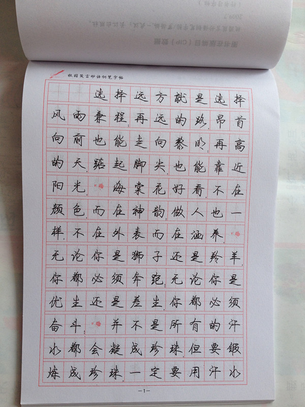 中国名家书法 学生/成人练字钢笔字帖行书罗扬字帖