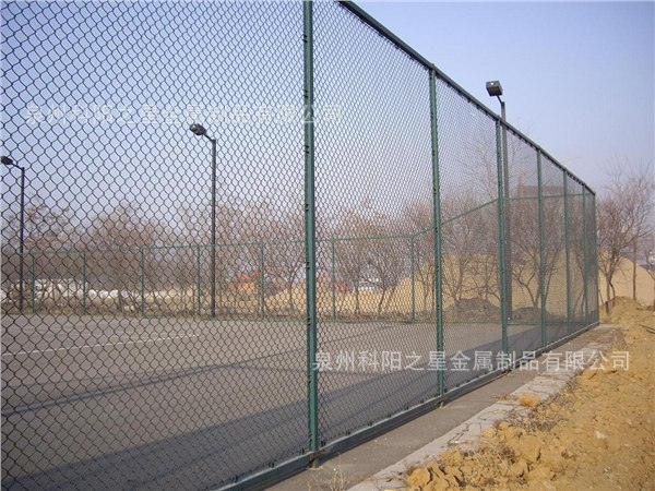 球场护栏网6