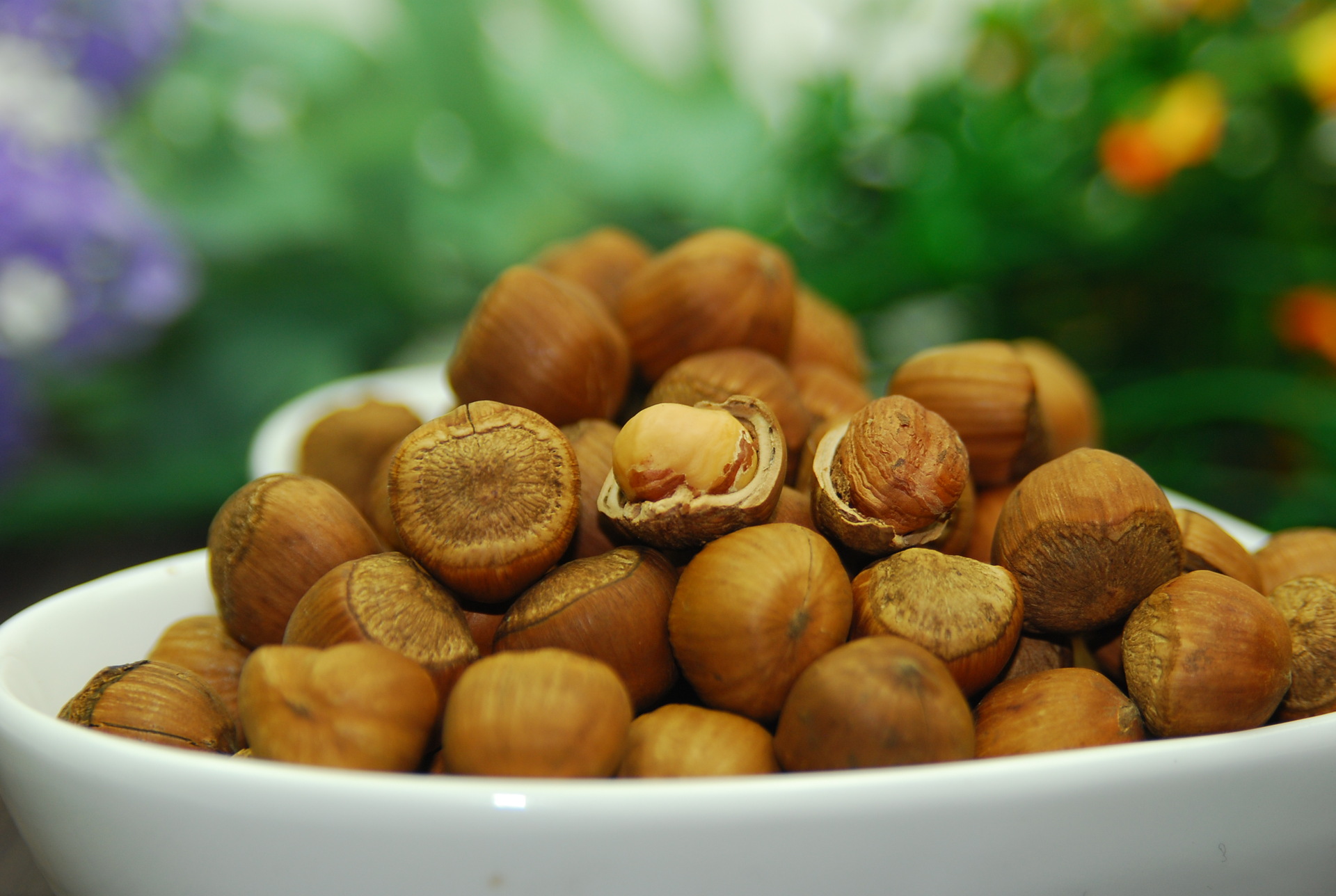 东北铁岭野生榛子 水漏开原榛子 手工精选大粒团购批发