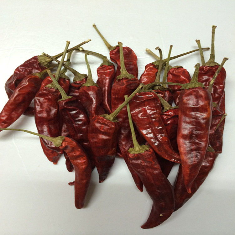 正宗福建辣椒王古田王中王辣椒鸭脖料批发