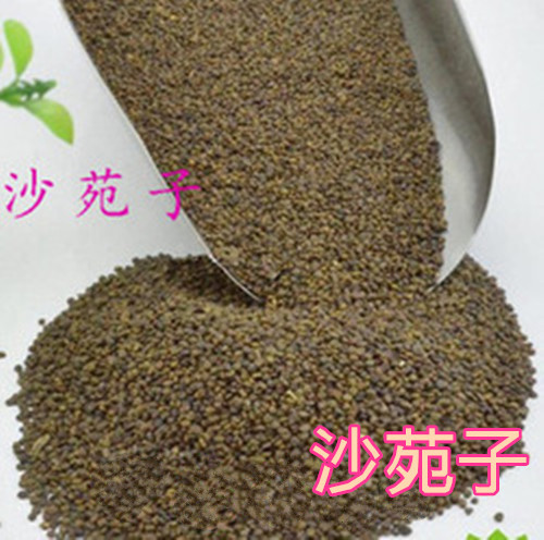 批发中药材沙菀子野生沙菀子 水洗货 沙苑子干净无杂质提供大货