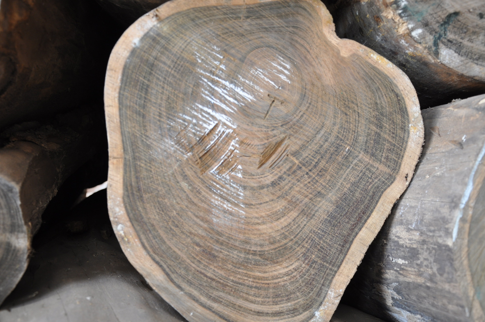 申梓木材供应批发绿檀木户外建筑木材优质原木板材绿檀