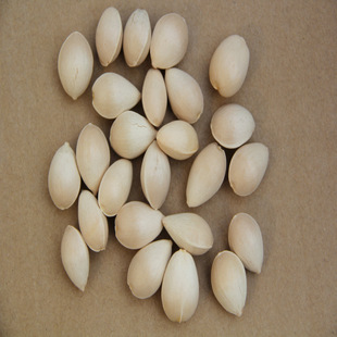 直销银杏白果 银杏种子 颗粒饱满 当年新采 花卉种子 发芽率高