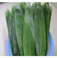 箬叶价格_最新箬叶价格\/批发报价_箬叶价格大