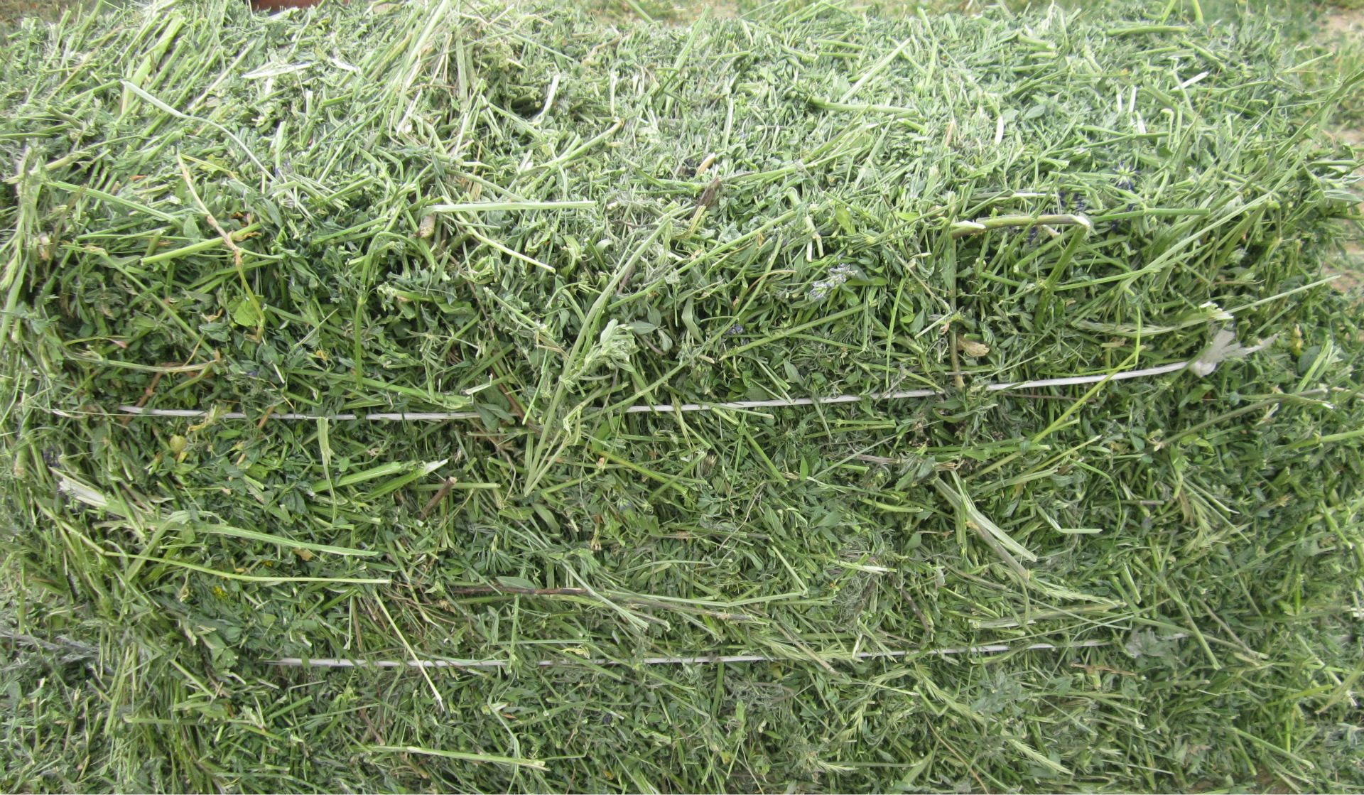 草苜蓿运输通行证怎么办理