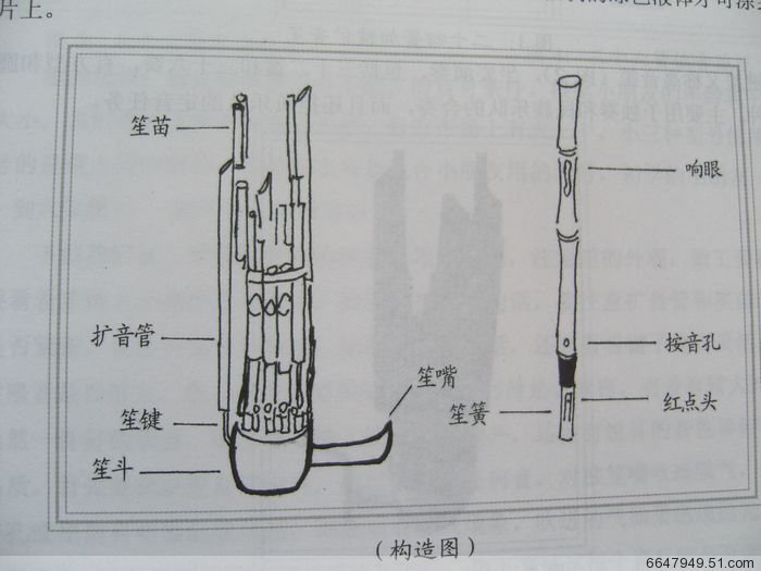 【宏艺乐器厂】批发供应专业21簧笙abcdefg调扩音笙