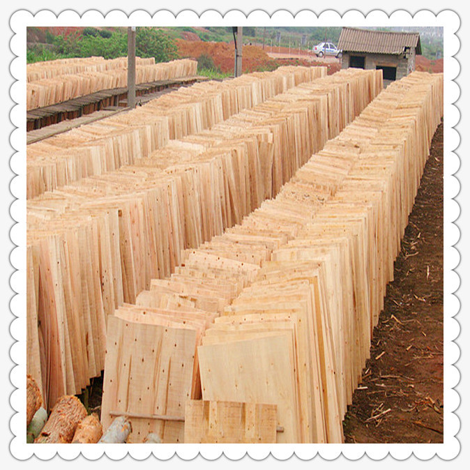 供应桉木单板【1000方有优惠】-木材产业网