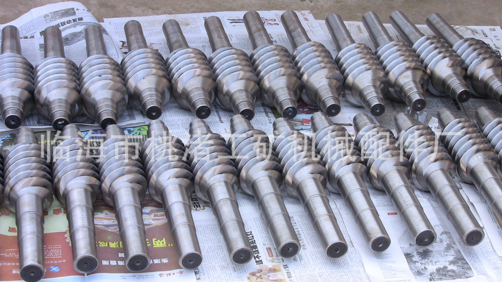 精密大模数多头蜗杆 (10)