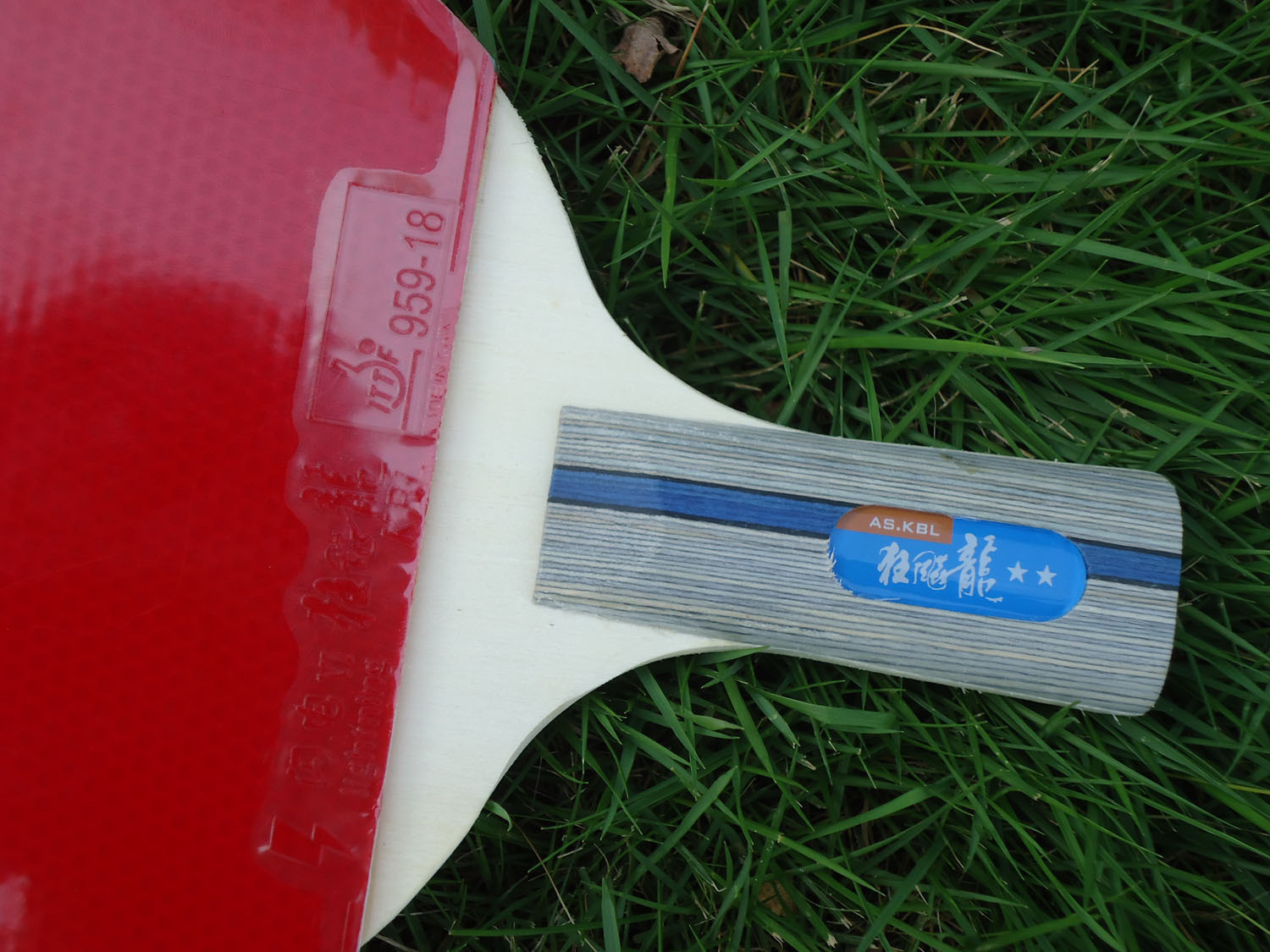 秒杀正品乒乓球拍单拍狂飙龙2二星单只装直横拍乒乓球成品拍球拍