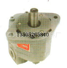 榆次液压齿轮油泵CB-FA/FC10、16、20、25、31.5、40-FL电机组
