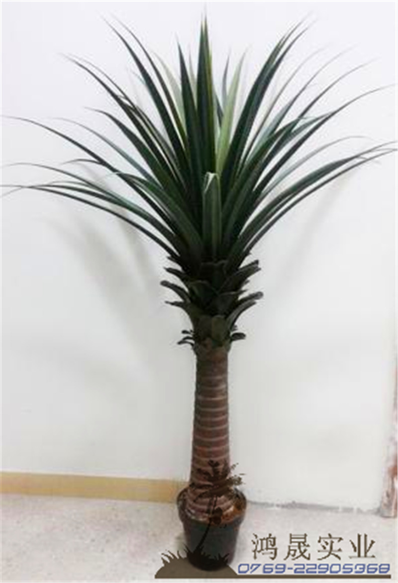 仿真一帆风顺定做 室内装饰美化植物 仿真一帆风顺批发