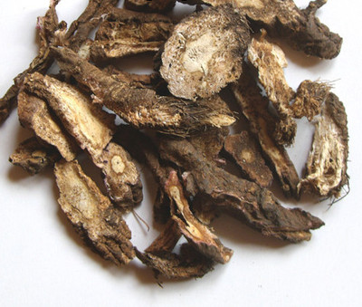 批发信前胡 正品保证 1斤起售