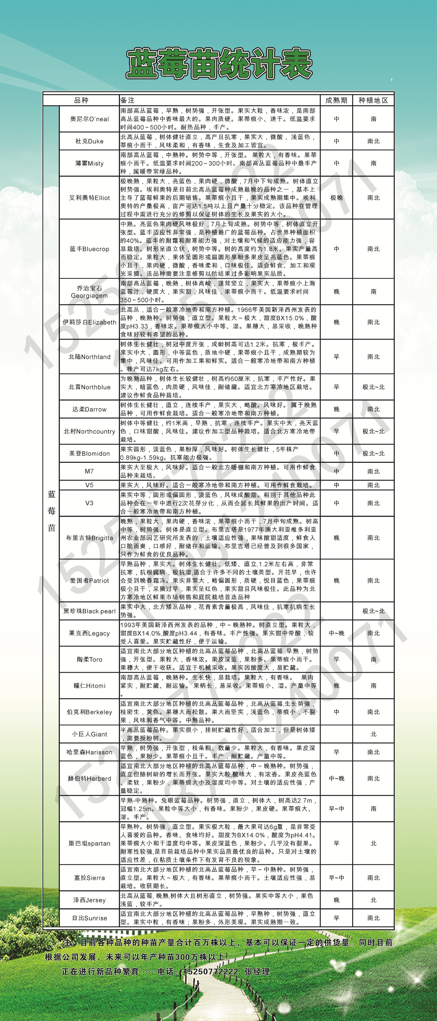 蓝莓品种冷量表图片