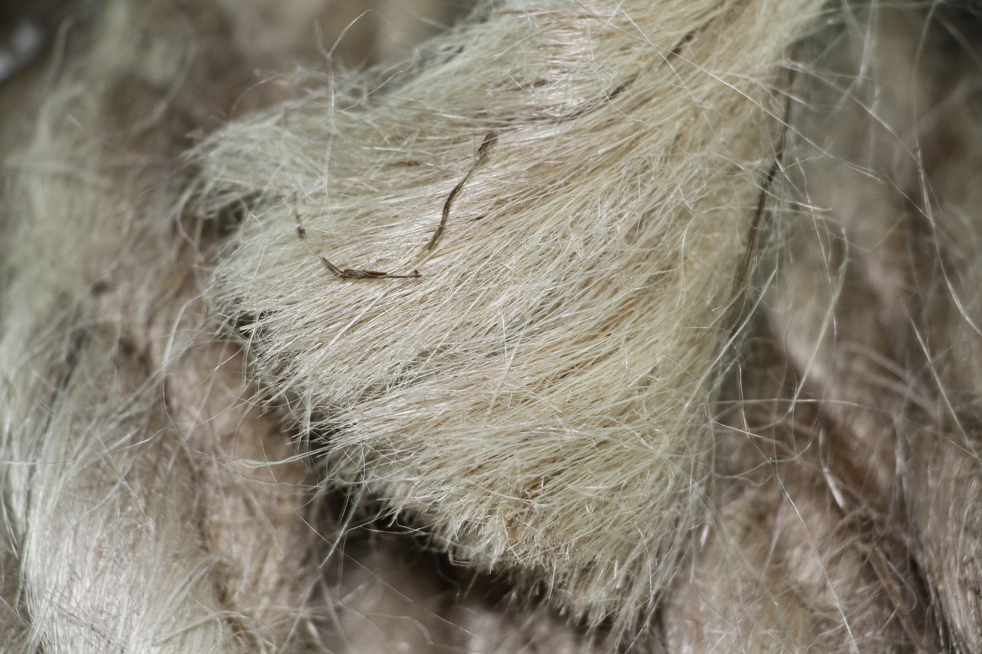 厂家批发油麻绳 密封油麻丝沥青细麻 麻筋麻絮 纤维麻线水暖专用