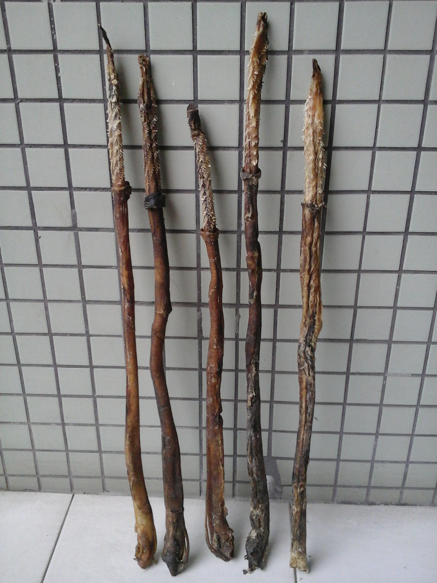 牛鞭壮阳吗_牛鞭壮阳吗供应商_牛鞭壮阳吗批