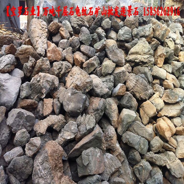 千层石价格图片