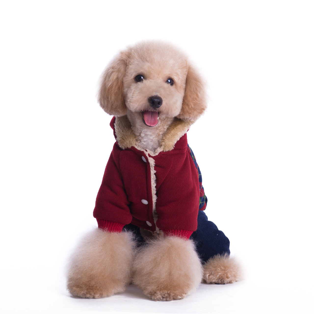 泰迪服泰迪潮服狗衣服冬装四腿加厚狗狗衣服