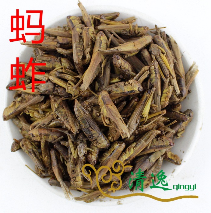 亳州清逸蚂蚱 蚱蜢 蝗虫500克中药材抓中草药店铺批发按单抓配