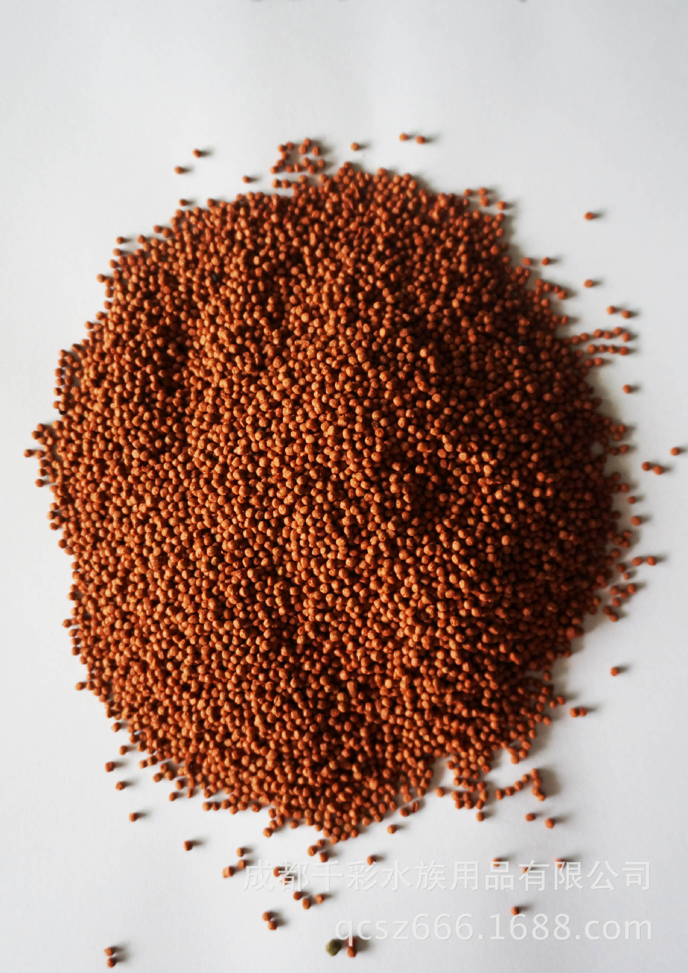 厂家批发供应 观赏鱼鱼粮 增色增艳鱼饵