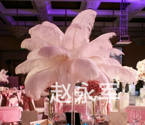 63598e24af9af0cc4acf4bcb82fe29