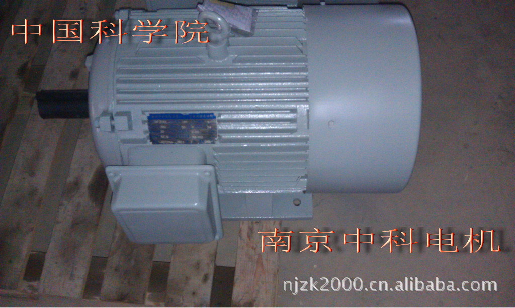 359083234_1614828587