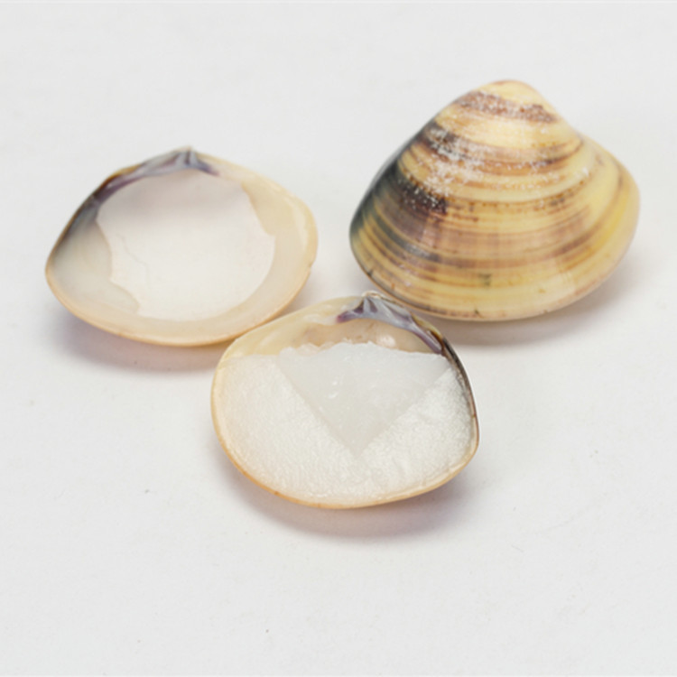 天然 哈唎油 贝壳油 护手霜 润肤脂 哈利油经典国货手部护理霜