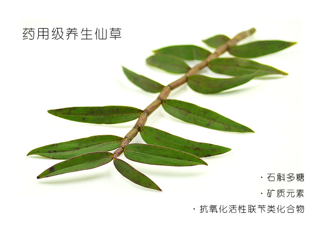 药用级养生仙草