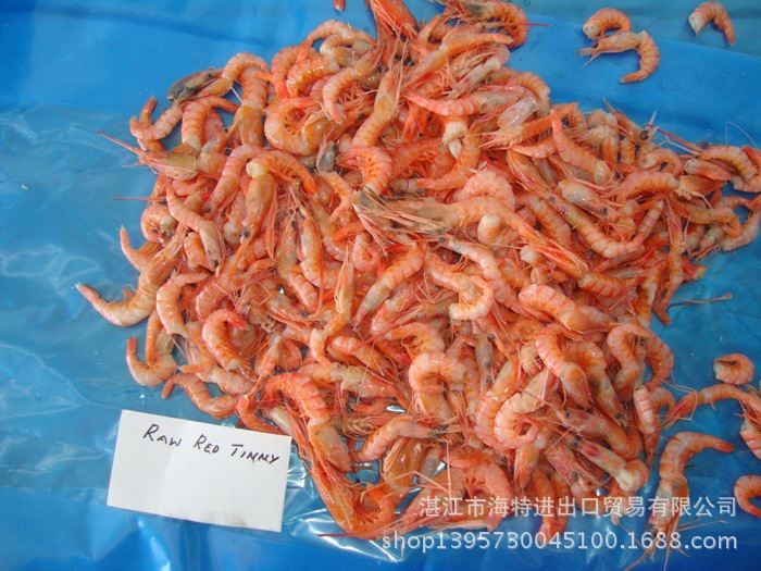 印度小红虾 red karikadi