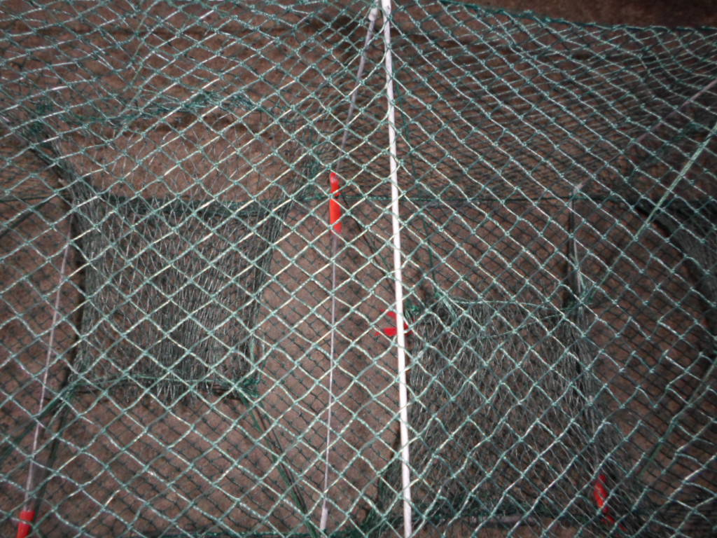 龙虾地笼网 渔网渔业用具