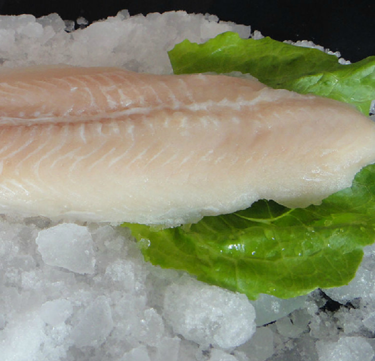 进口龙利冷冻鱼柳 深海新鲜海鲜水产巴沙鱼海鱼片三斤起卖