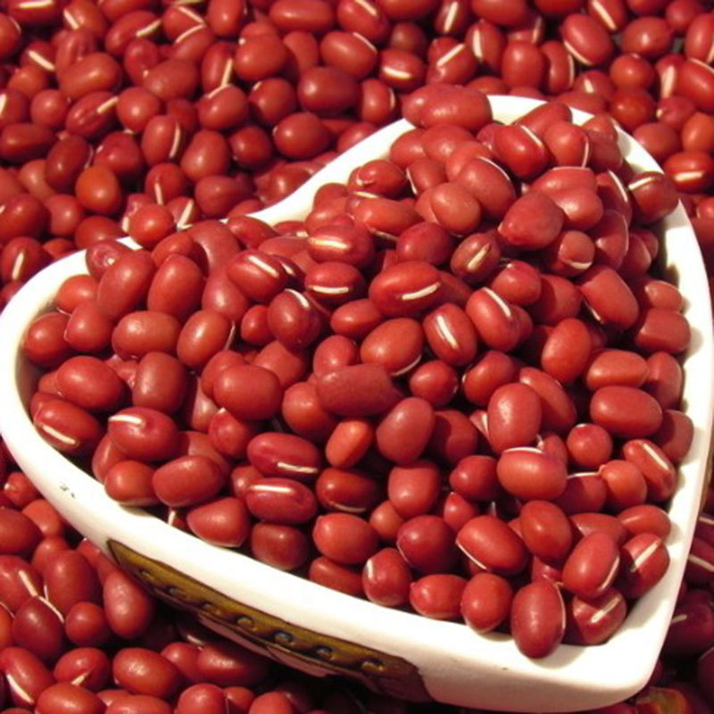 云南特产优选红豆 红小豆 原产地货源 一公斤