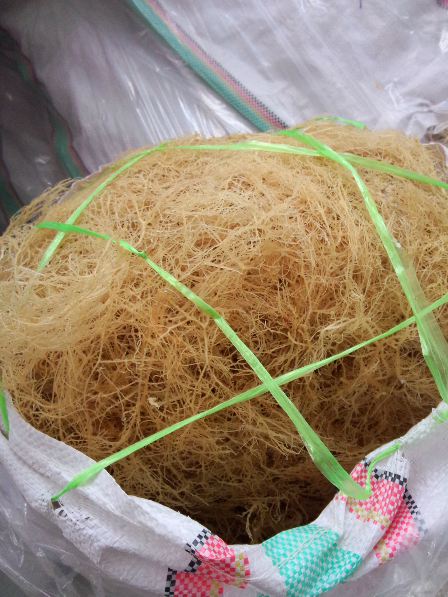 淡干龙须菜干货石花菜鹿角菜海藻凉拌菜素菜