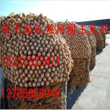 中国玉米网价格_今日最新中国玉米网价格行情